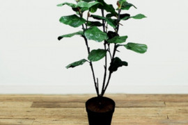 Faux Fiddle Leaf Fig Tree
